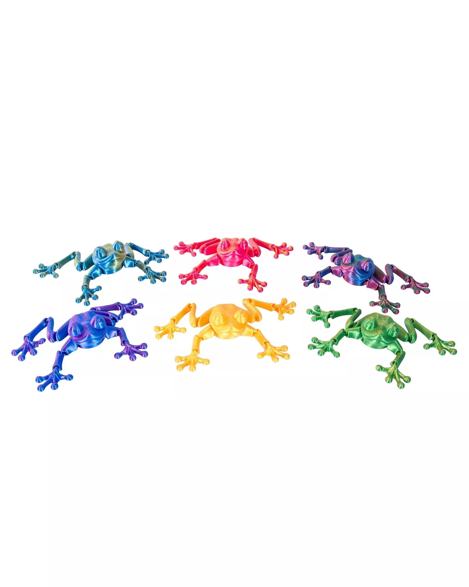 3D Sensory Frog Assorted