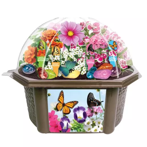 Bountiful Butterfly Garden