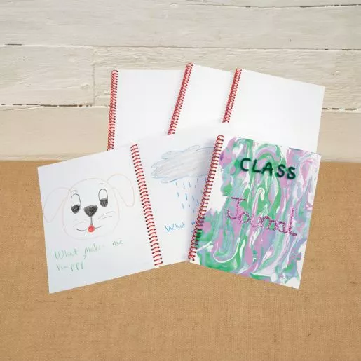 Colorations 100th Day Reflection Journal - Makes 12 Crafts