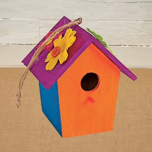 Colorations Camp Create-A-Birdhouse - Makes 6 Crafts