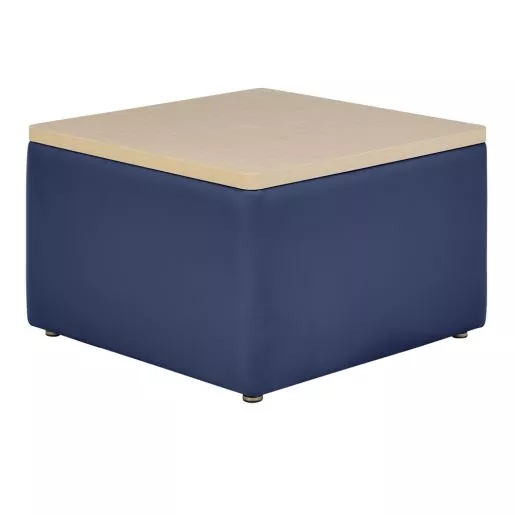 Environments Table Top Ottoman- Navy