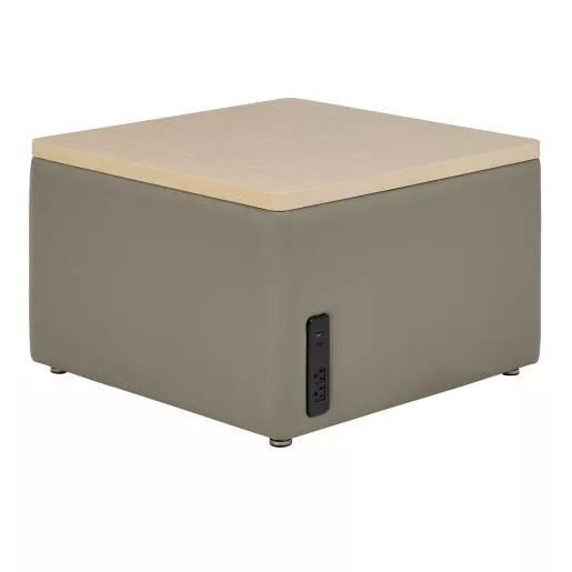 Environments Table Top Ottoman with Tech - Taupe