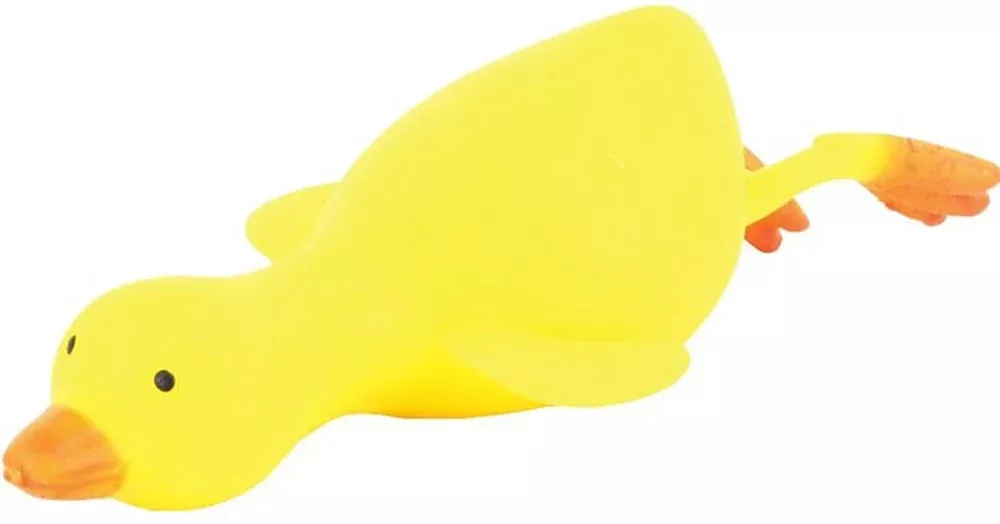 Fidget Stretchy Duck