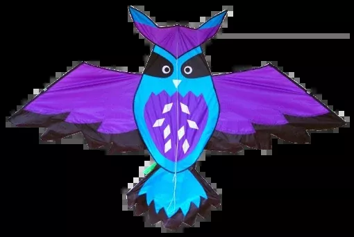 High as a Kite - Owl Kite