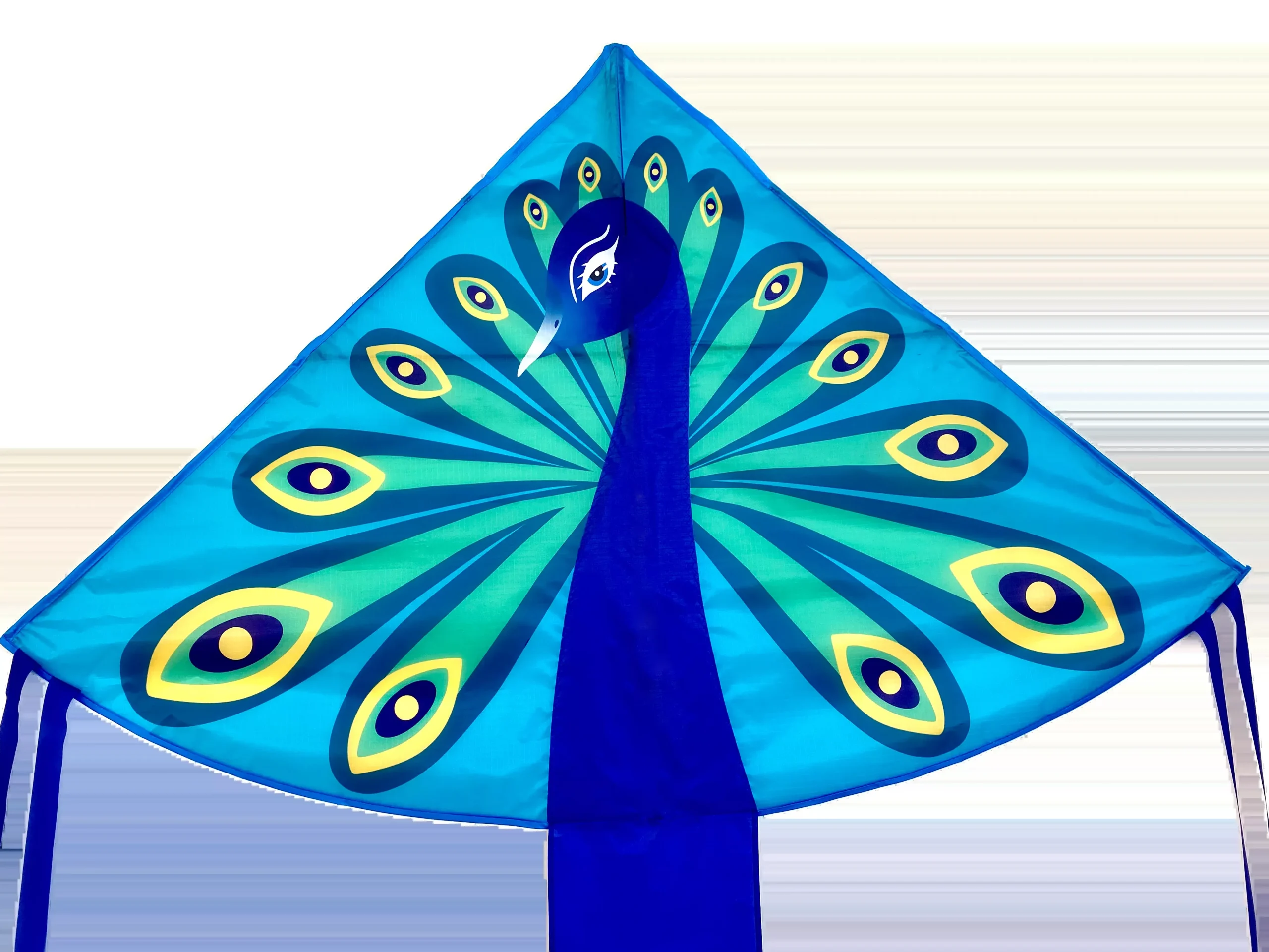 High as a Kite - Peacock Kite