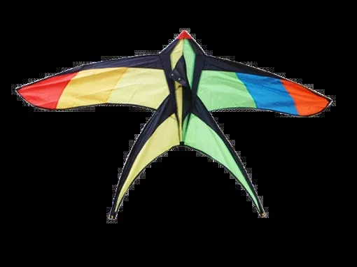 High As A Kite - Swallow Tail Kite