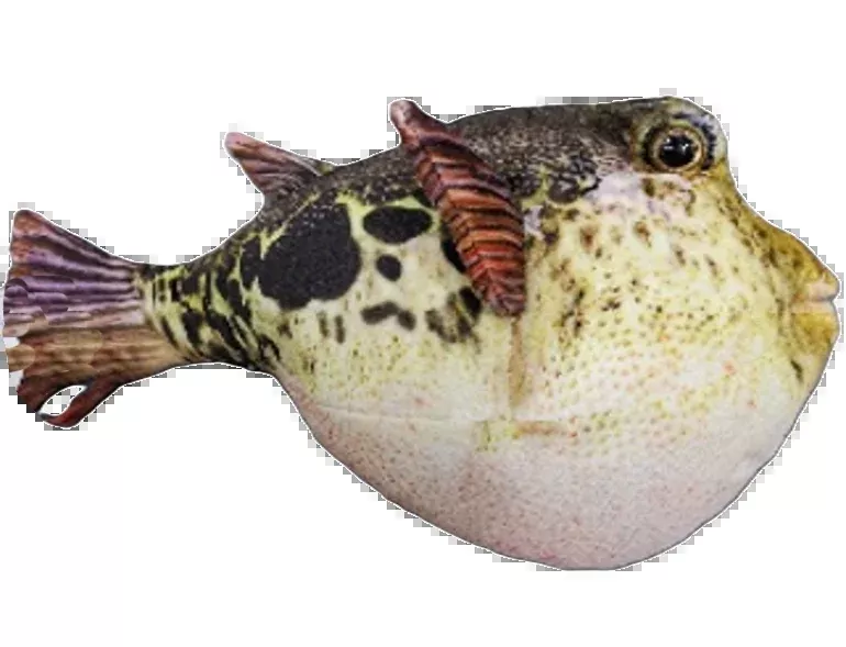 Huggable - Pablo Puffer Fish