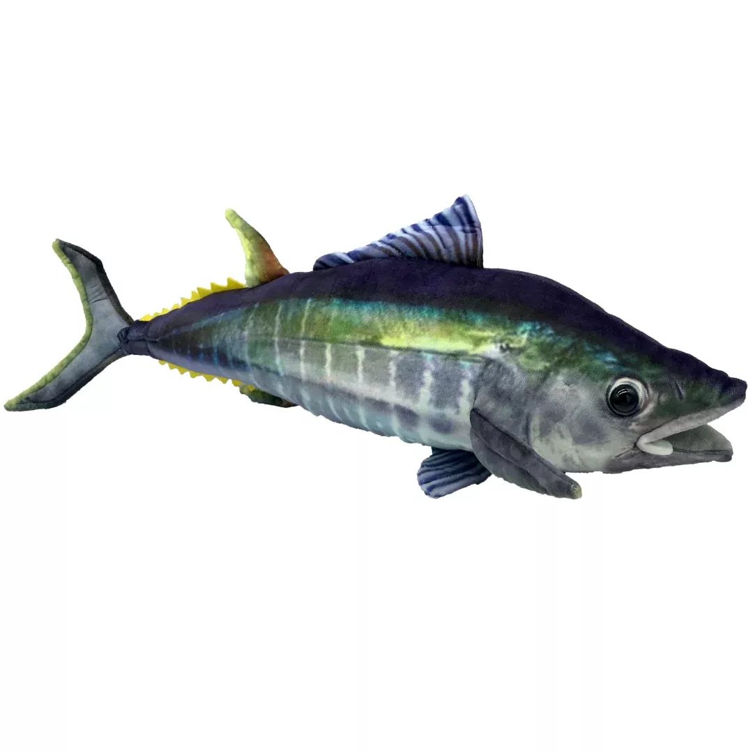 Huggable - Tommy Tuna