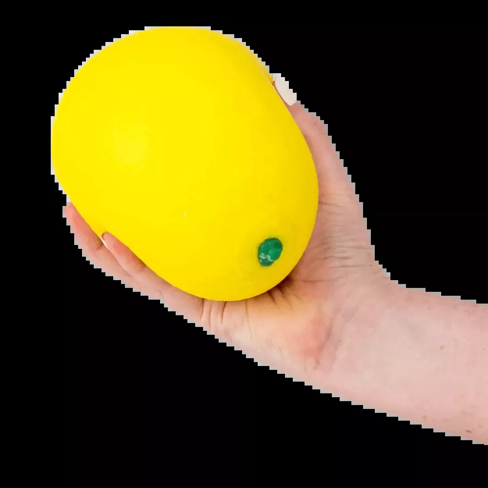 Jumbo Squishy Lemon