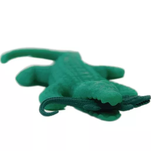Large Growing Alligators