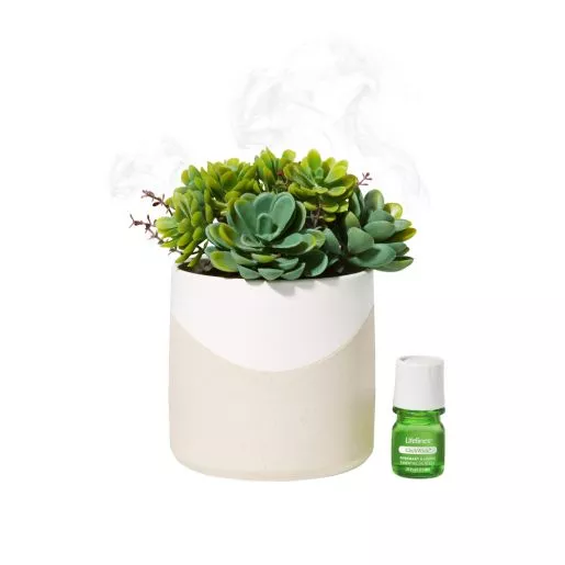 Lifelines Faux Plant Diffuser - Succulent