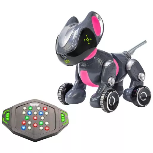 Memory & Coding Set