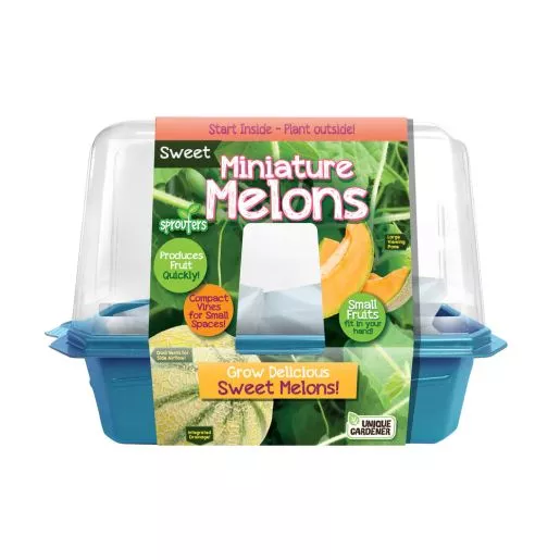 Miniature Melons