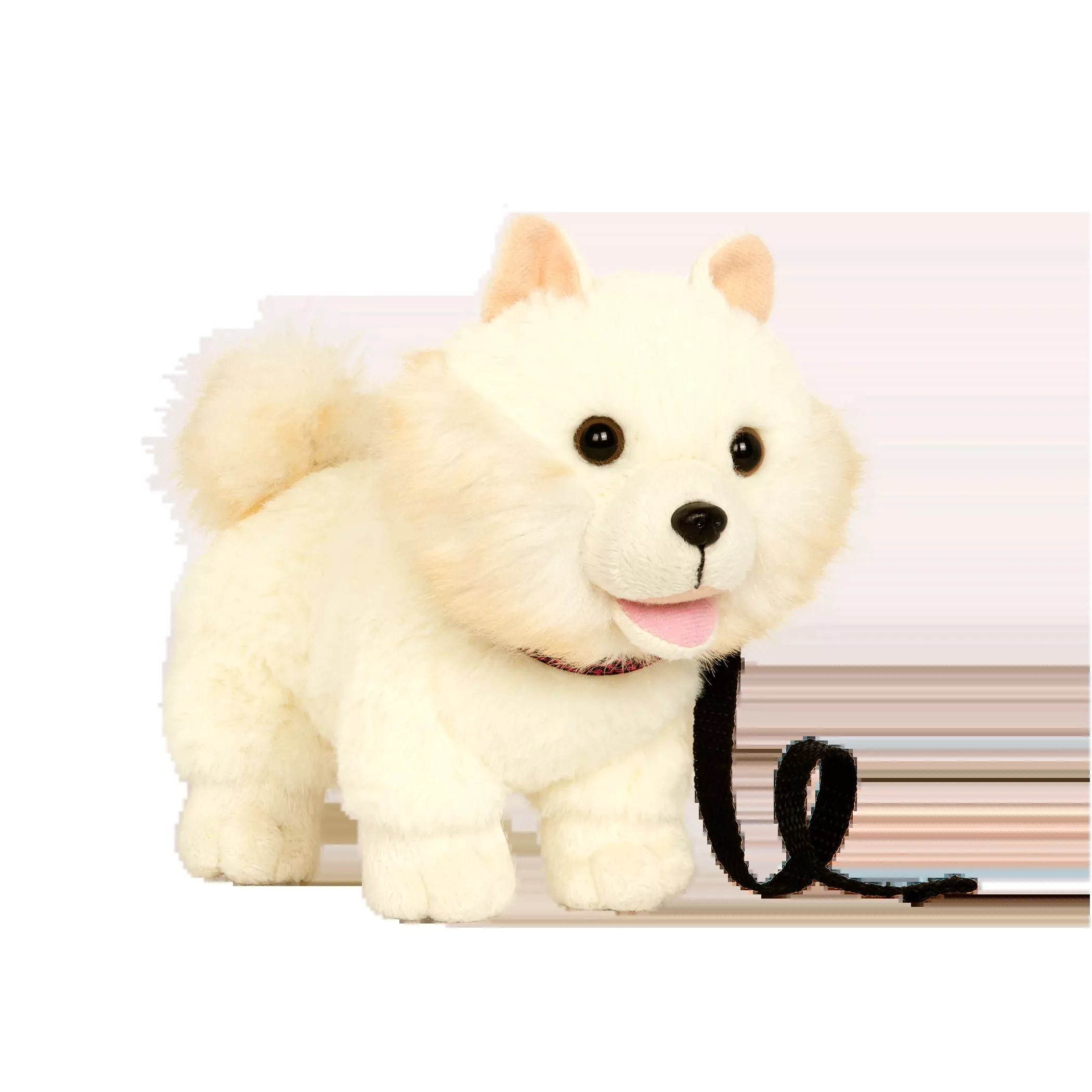 Our Generation – Pomeranian Pup