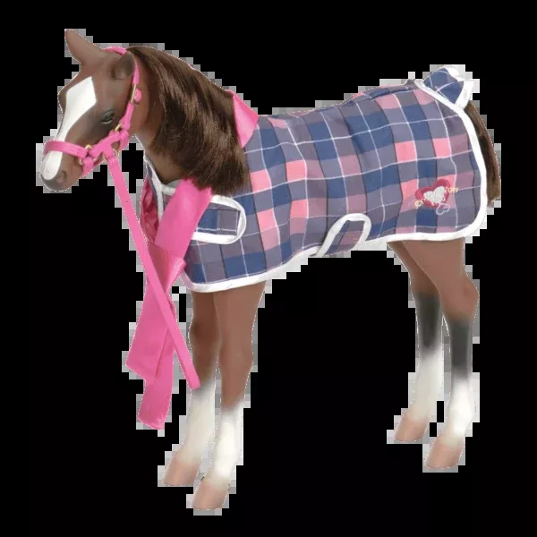 Our Generation – Quarter Horse Foal