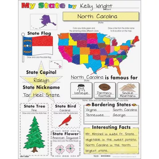 Ready-To-Decorate My State Posters - 24 posters