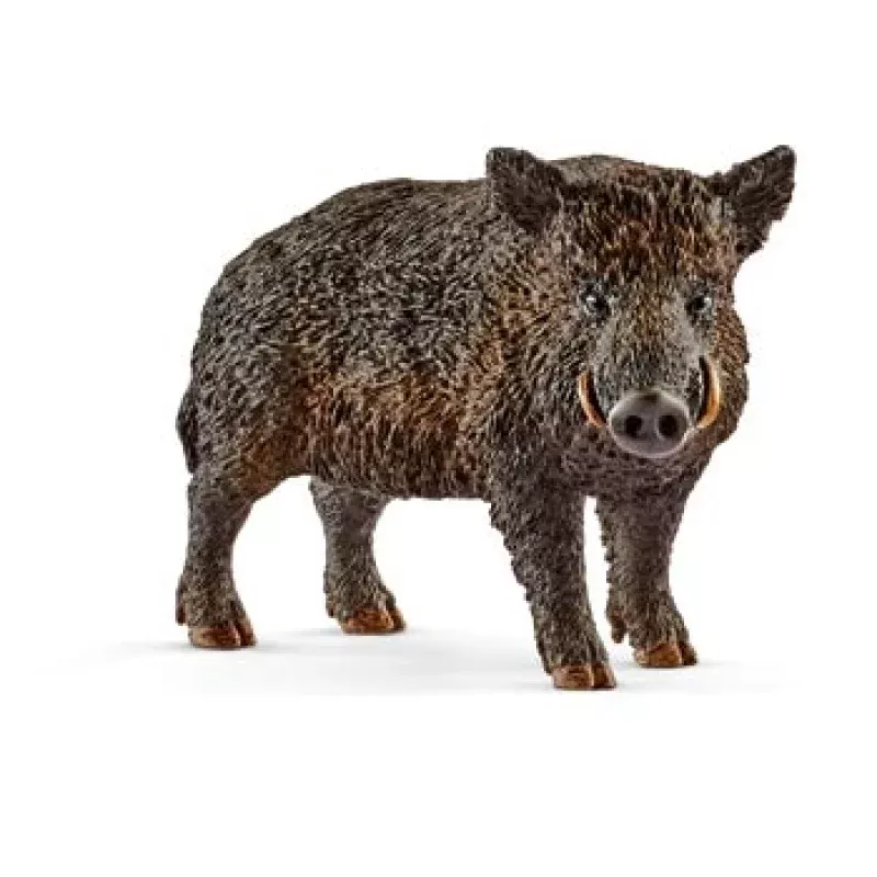 Schleich - Wild Boar