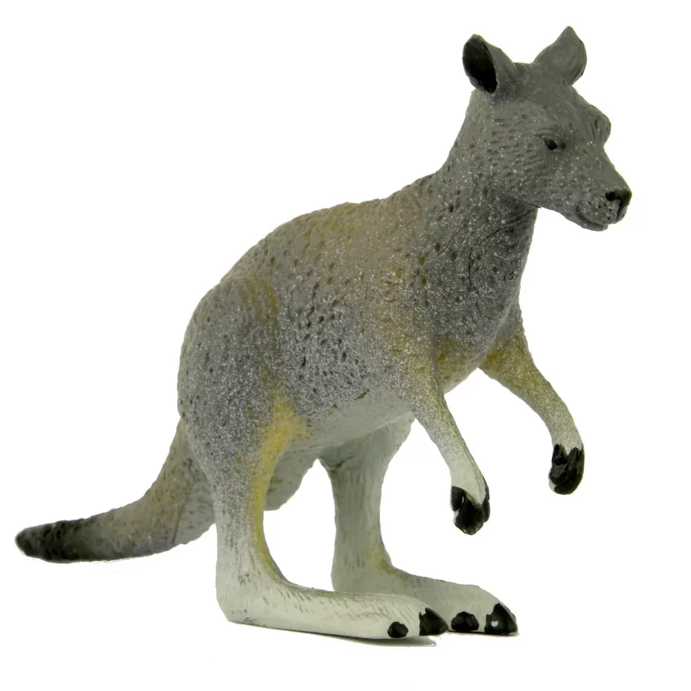 Science & Nature - Small Kangaroo