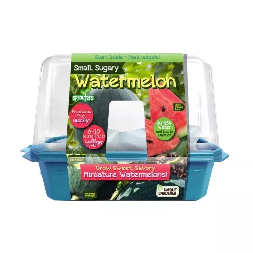Small, Sugary Watermelon
