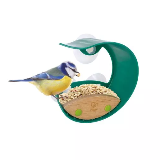 Window Bird Feeder + Journal